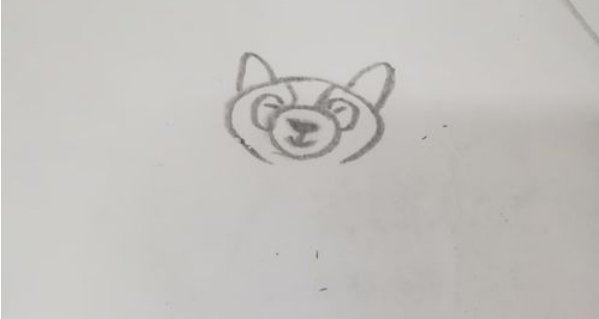 浣熊的简笔画怎么画？