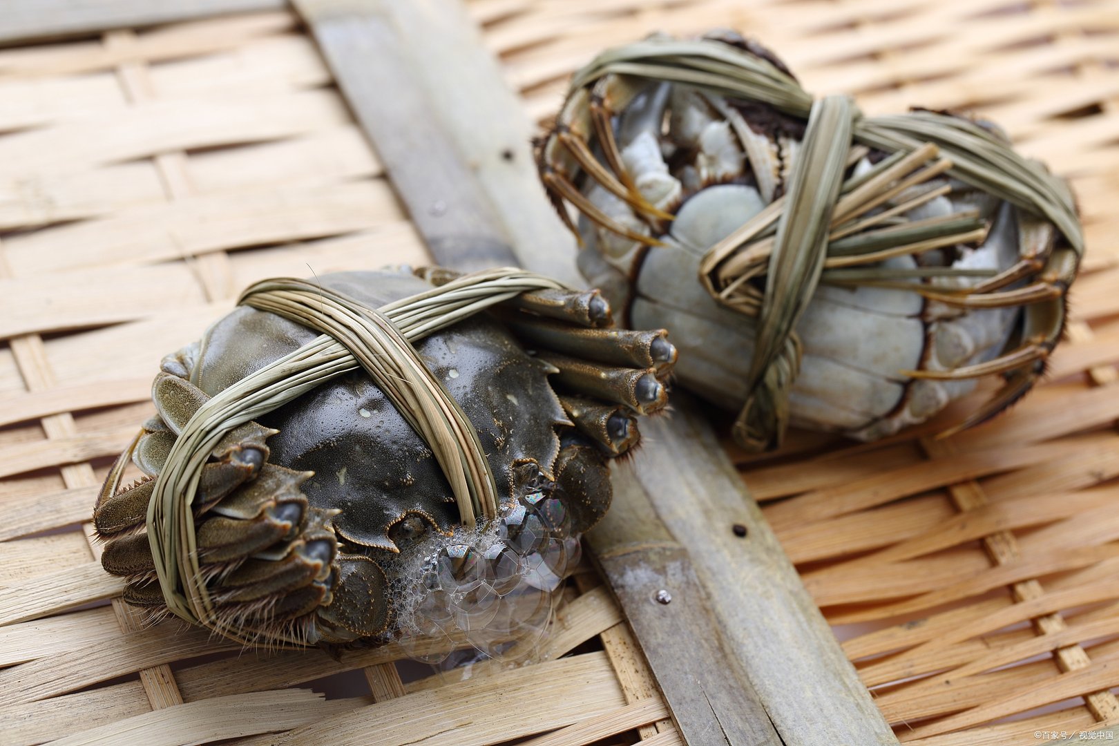 如何挑选黄河口大闸蟹？它最正宗的做法是什么？