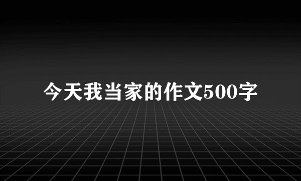今天我当家的作文500字