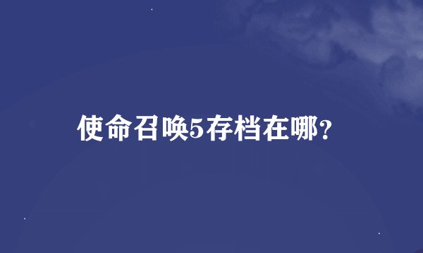 使命召唤5存档在哪？