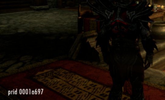 上古卷轴5随从不跟我走了