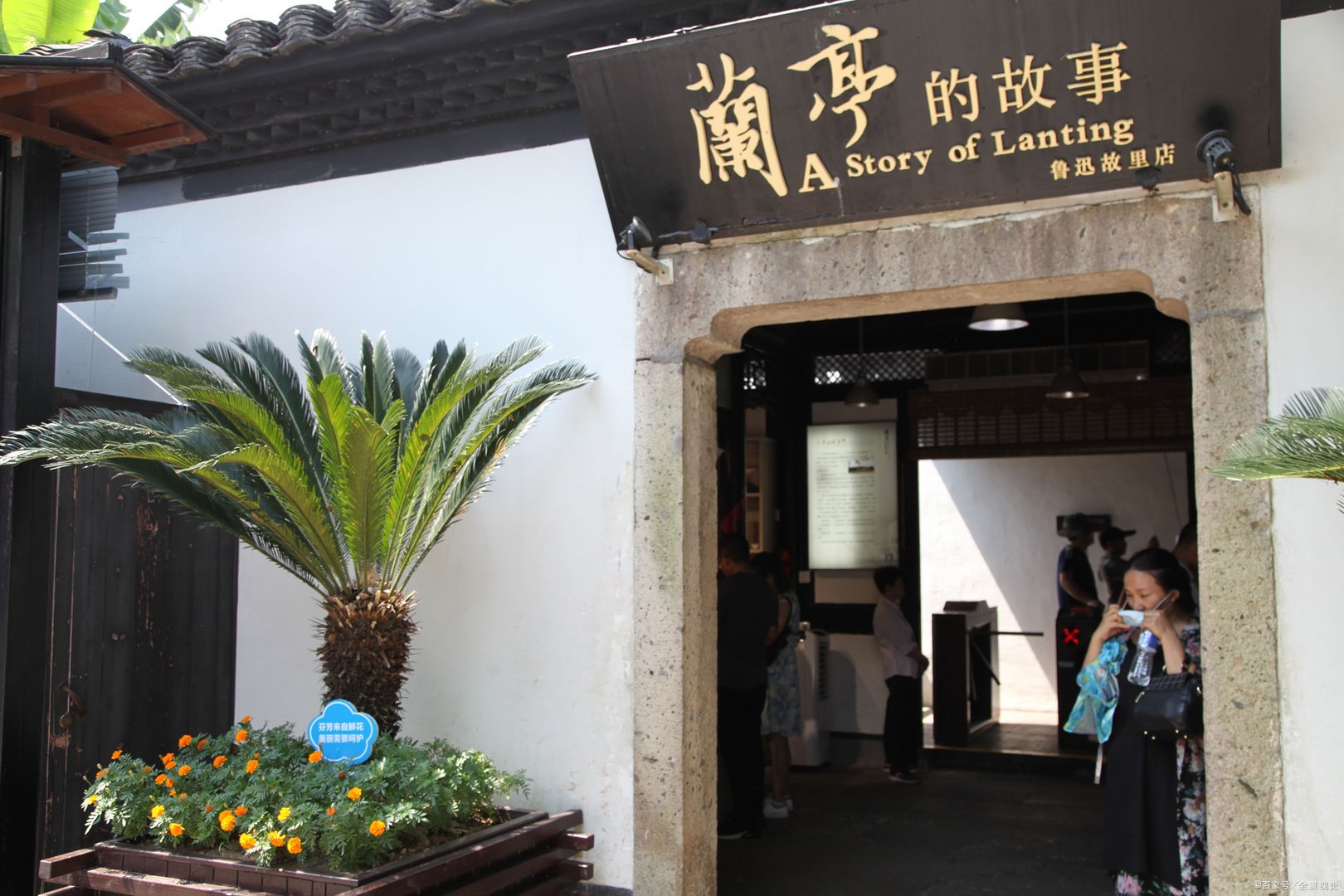 朝花夕拾里《琐记》的读后感