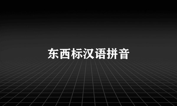 东西标汉语拼音