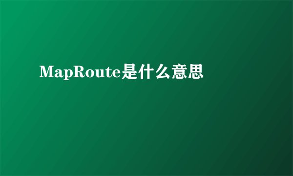 MapRoute是什么意思