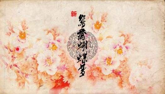 新鸳鸯蝴蝶梦什么意思