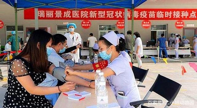 新冠疫苗副作用大是因为身体好,抵抗力对疫苗有什么作用?