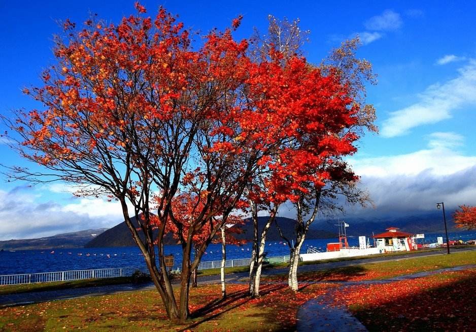 全国入秋进程图出炉了,有哪些地区已经进入秋天?