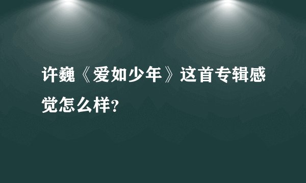 许巍《爱如少年》这首专辑感觉怎么样？