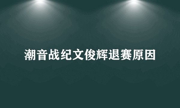 潮音战纪文俊辉退赛原因
