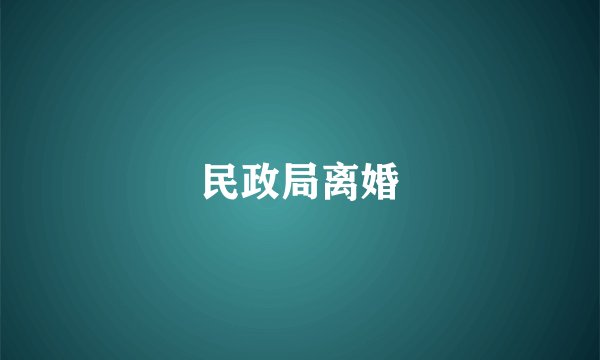 民政局离婚