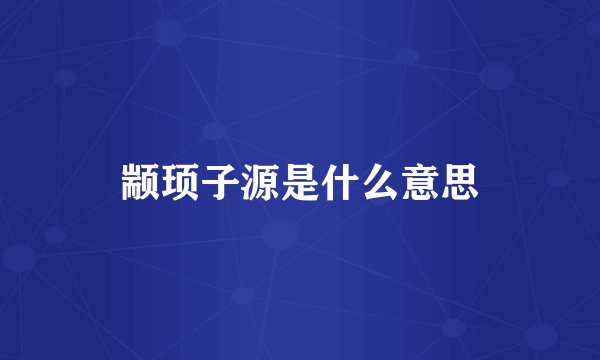 颛顼子源是什么意思