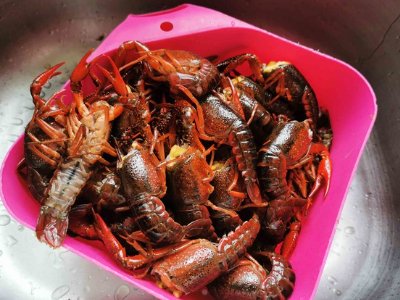 蒜香小龙虾的做法家常