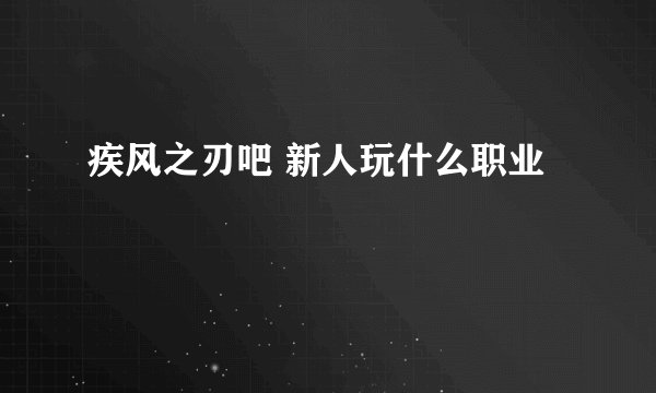 疾风之刃吧 新人玩什么职业