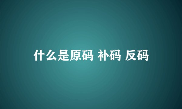 什么是原码 补码 反码