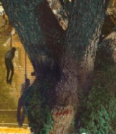 漫画家乌合麒麟新作被夸细节拉满,具体表现在什么方面?