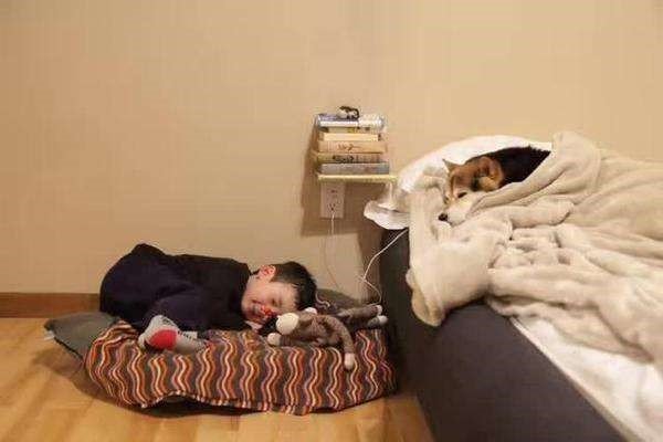 为什么有人睡觉时会流口水?