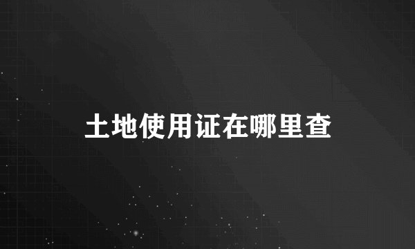 土地使用证在哪里查