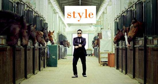 style的中文是什么意思