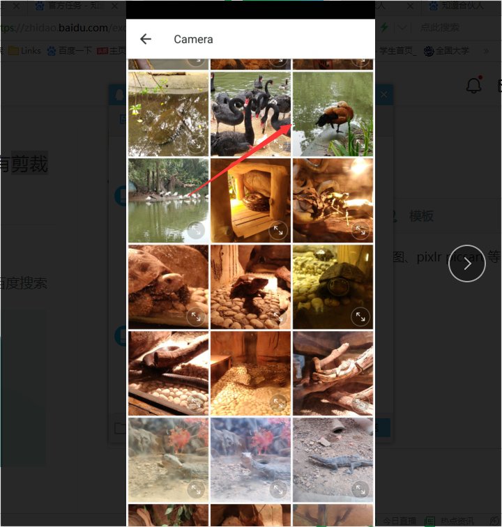 怎样把照片改成4:3的比例