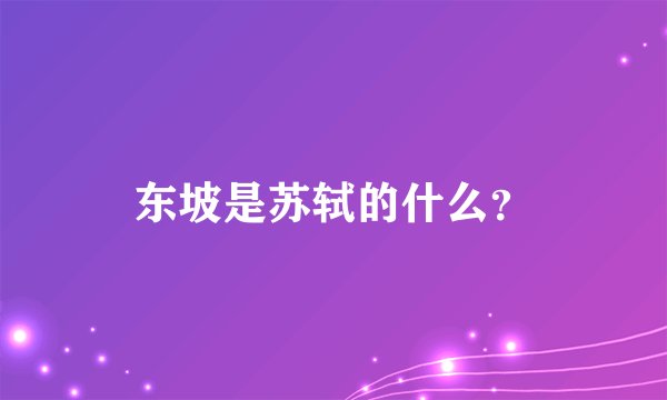 东坡是苏轼的什么？