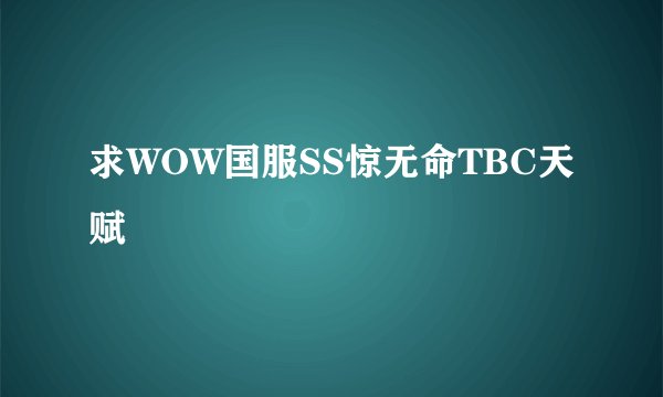 求WOW国服SS惊无命TBC天赋
