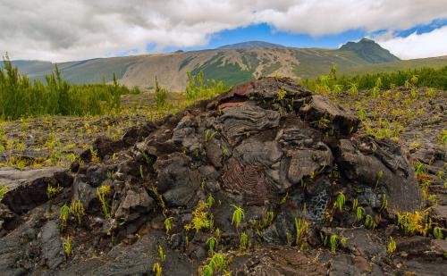 电影《地心历险记》中有哪些不合理的错误？