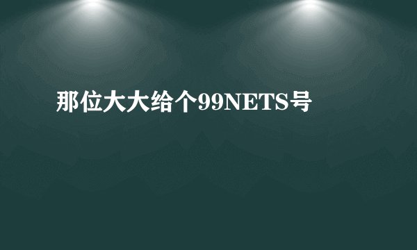 那位大大给个99NETS号