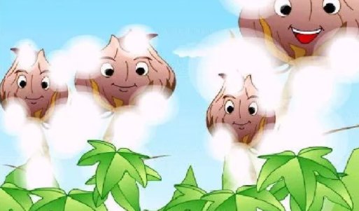 读了棉花姑娘懂得了什么道理？