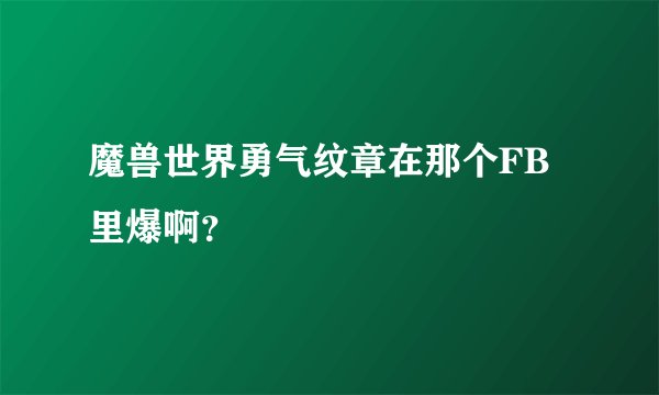 魔兽世界勇气纹章在那个FB里爆啊？