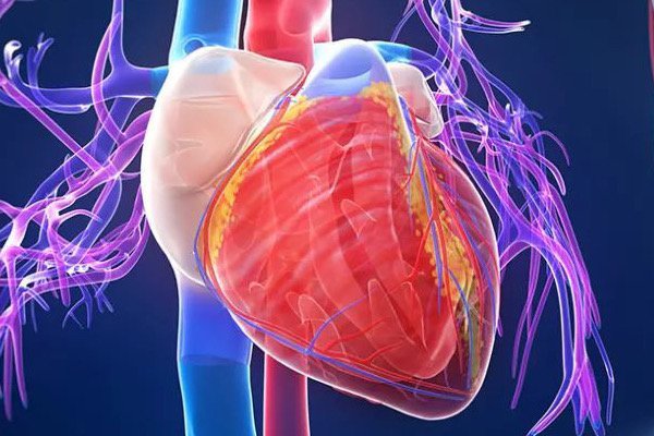 3D打印能不能打印出来一个人类的心脏？