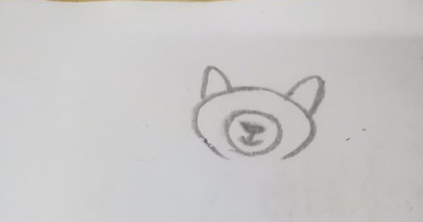 浣熊的简笔画怎么画？