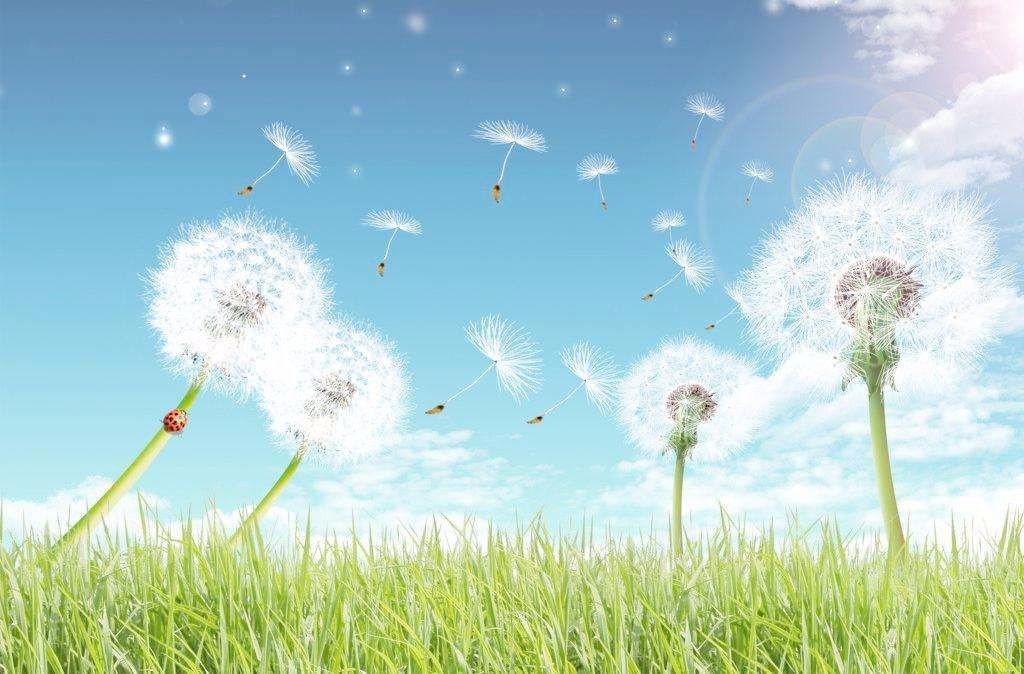 好词好句好段有哪些