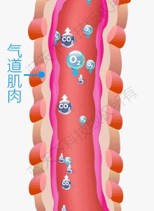肺气肿是什么原因导致的