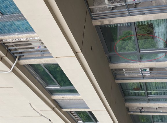 重庆“姐弟坠楼案”庭审现场，哪些细节值得关注