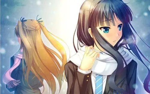 逆ntr是什么意思梗