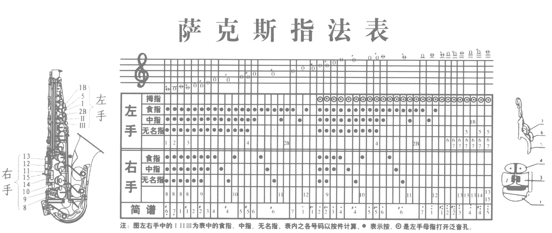 初学者怎么学萨克斯