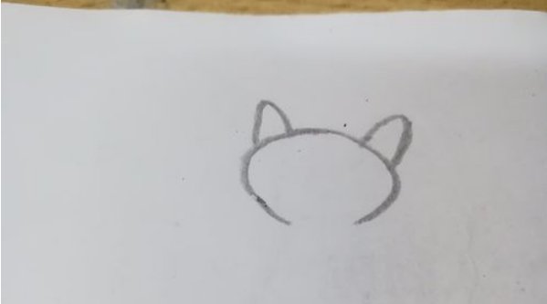 浣熊的简笔画怎么画？