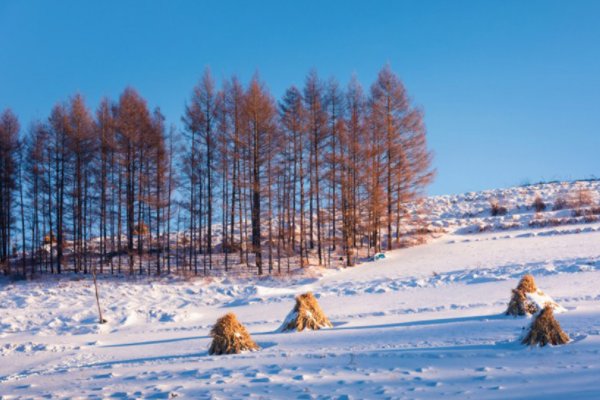 “六月飞霜”这一典故来源于哪里?