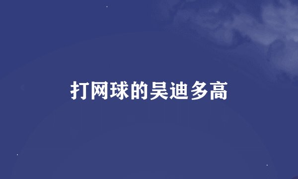 打网球的吴迪多高