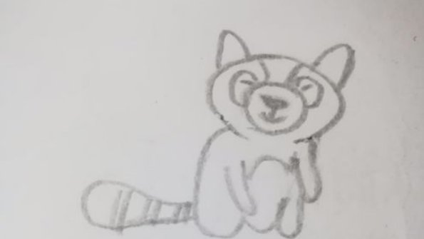 浣熊的简笔画怎么画？