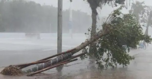 2022年6月台风最新消息