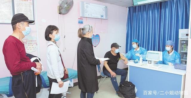 新冠疫苗副作用大是因为身体好,抵抗力对疫苗有什么作用?