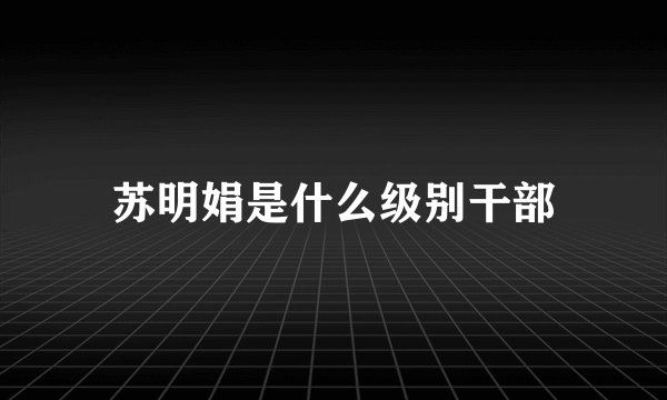 苏明娟是什么级别干部