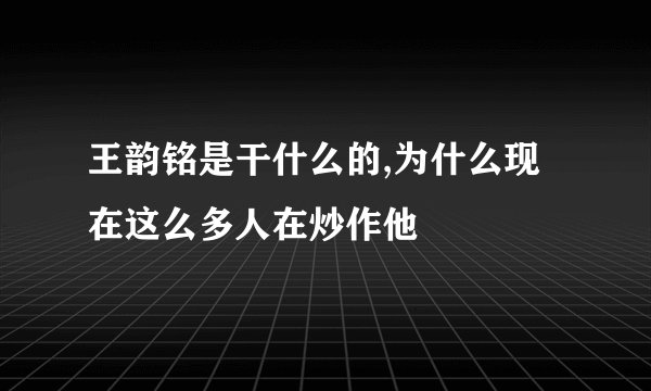 王韵铭是干什么的,为什么现在这么多人在炒作他