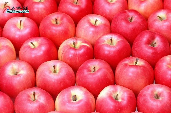 2020年新品种水果苗有哪些?