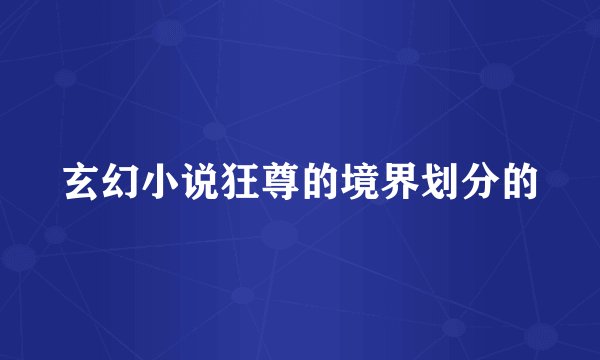 玄幻小说狂尊的境界划分的