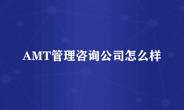 AMT管理咨询公司怎么样