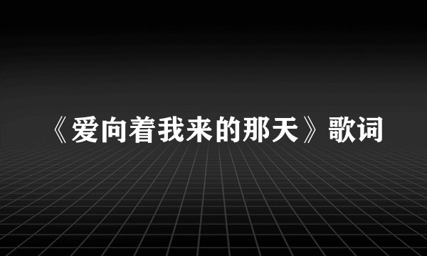 《爱向着我来的那天》歌词