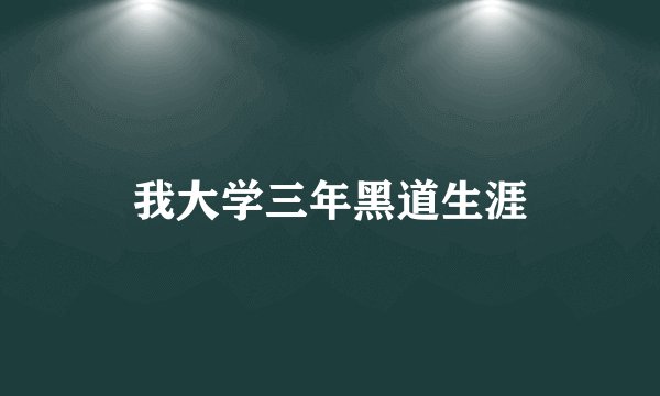 我大学三年黑道生涯