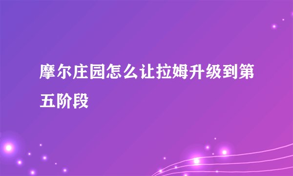 摩尔庄园怎么让拉姆升级到第五阶段